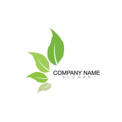 Logos of green leaf ecology nature