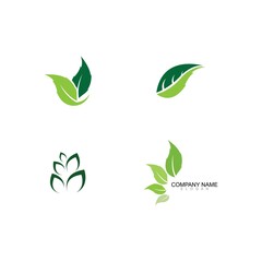Logos of green leaf ecology nature