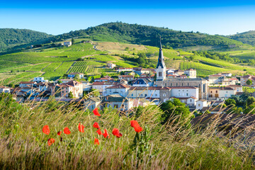 Le Perreon et les lueurs matinales, Le Beaujolais