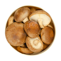 Fresh whole shiitake mushrooms, in a round balsa wood box. Lentinula edodes, edible mushrooms, native to East Asia, also used in traditional medicine. Close-up from above, isolated, over white. Photo.