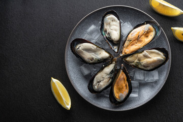 mussels freshly frozen on a plate with ice, on a dark background, copyspace. Expensive delicacy