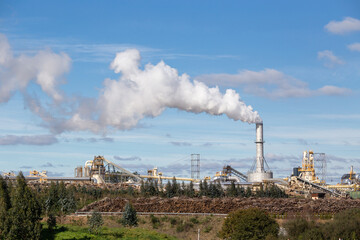 Fototapeta na wymiar Industrial wood Factory with pipe emitting smoke. FINSA factory, Santiago de Compostela, Spain