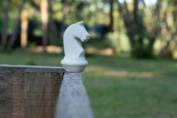 white chess knight © Diana