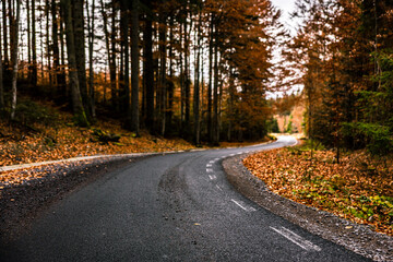 Idyllic autumn landscape in Transylvania