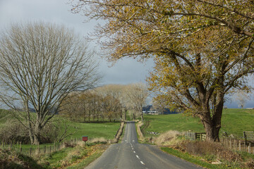 winter time in the road - New Zeland