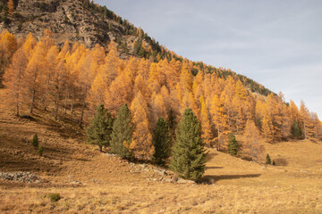 Obraz premium Colors of the autumn in St. Moritz..