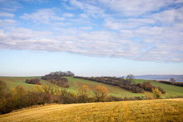 Colorful autumn landscape with fields and trees under blue sky