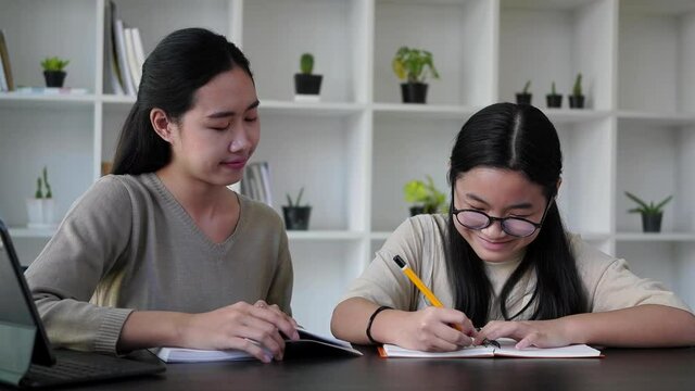 Smiling female tutor helping young student doing homework.