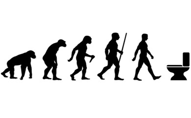 Evolution Toilette 