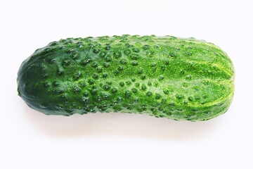 cucumber on a white background isolate