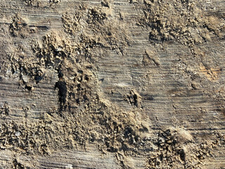 Top view of ground sandy background.