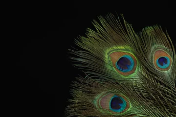 Sierkussen Beautiful bright peacock feathers on black background. Space for text © New Africa
