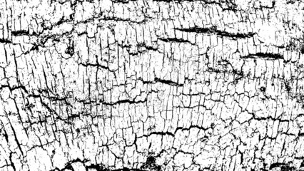 Obraz premium Black white texture of rugged relief fractured bark wood of aged cork oak. Old rough grunge of uneven ridged hard dry crust surface. Deep cut grooved coated layer, convex ornate textured rustic design