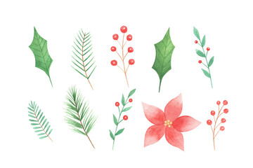 Watercolor Christmas flowers and greenery set isolated on white background. 