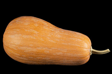 Fresh orange pumpkin, isolated on black background