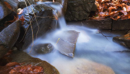 Water flowing over the stones - obrazy, fototapety, plakaty