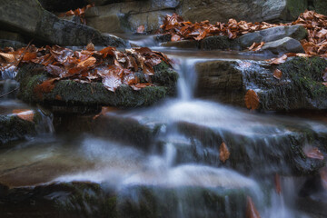 Water flowing over the stones - obrazy, fototapety, plakaty