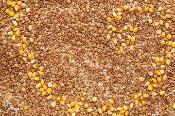 close up of a mix seeds
