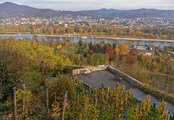 Insel Nonnenwerth im Mittelrhein