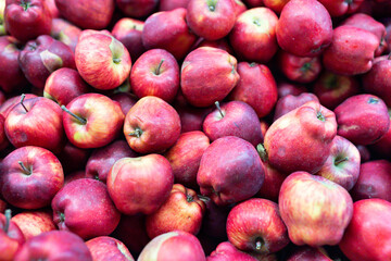 colorful background of ripe fresh red apples