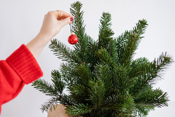 a modern woman in a red sweater hangs red balloons on fir branches. a woman's hand hangs red balloons on fir branches. Close-up. The minimum concept of the new year