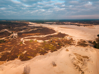 Aerial drone view of the Loonse en Drunense Dunes in the Netherlands, Europe.