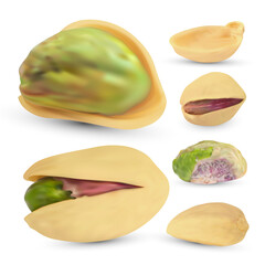 Salted pistachio nuts set. Realistic raw kernel isolated on white background.