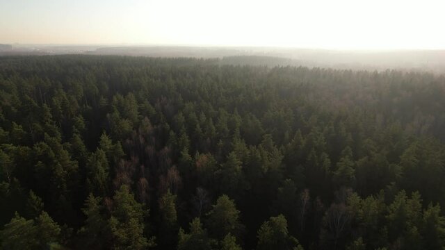 Aerial view of forest in `Russia at fogy autumn sunrise. Drone shot flying over treetops, nature background footage in 4K resolution