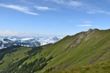 mountain landscape in summer