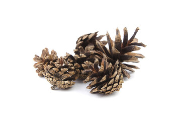 Group of pine cones isolated on white background