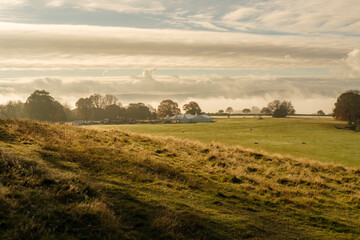 Obraz premium Autumn colours at Petworth park, West Sussex