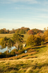 Autumn colours at Petworth park, West Sussex