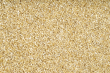 Pile of raw white quinoa seeds.