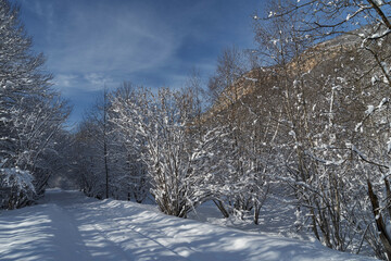 Image of a winter footpath.