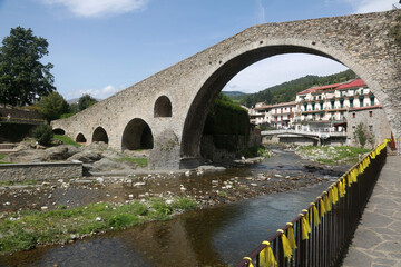 Fototapeta premium camprodon bridge