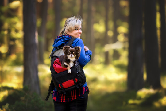 Happy Woman With A Dog In Backpack Walking In The Forest