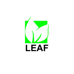 Leaf Logo, Design, Image, Green, Nature, Vector
