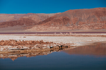 Paisaje rojizo de la puna