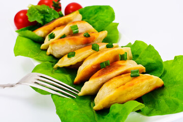 Gedza Japanese Dumplings