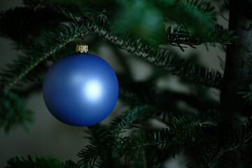 Fototapeta na wymiar Christmas tree with a blue glass ball