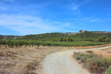 Old country road through the vineyards in the Massif de la Clape Natural Park. The photo was taken on a very hot day at the end of summer.