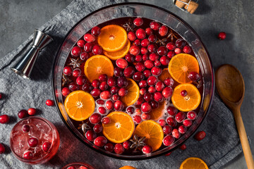 Boozy Refreshing Christmas Cranberry Punch