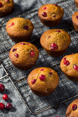 Homemade Breakfast Cranberry Muffins