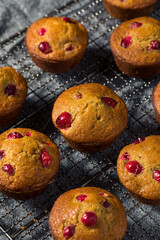 Homemade Breakfast Cranberry Muffins