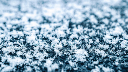 Obraz premium Frosting macro. Cold snow winter background. Blue crystal frozen abstract pattern. White frost ice texture.