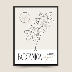 Elegant Botanical abstract wall arts. Floral vector poster collection.