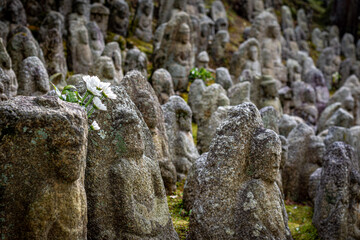 moss on stone statues