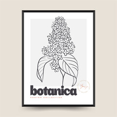 Elegant Botanical abstract wall arts. Floral vector poster collection.