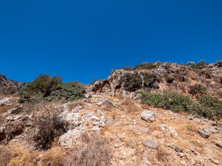Arid Mediterranean Landscape