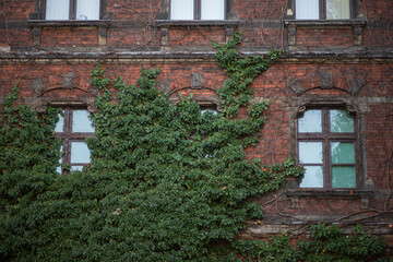 Fototapeta na wymiar Old building windows in Wroclaw, Poland, Europe